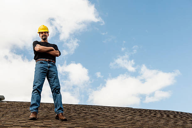 Best Roof Repair Services  in Lake Shore, MN